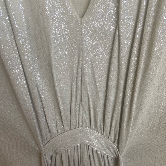 French Connection Shimmery Silver Dress - Picture 3 of 7